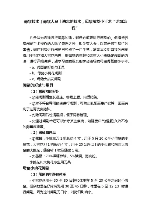 养猪技术丨养猪人马上遗忘的技术，母猪阉割小手术“详细流程”