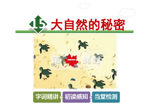 六年级下册语文课件15.大自然的秘密【第1课时】｜北师大版 (共24张PPT)