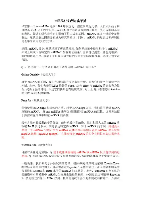 miRNA过表达或干扰