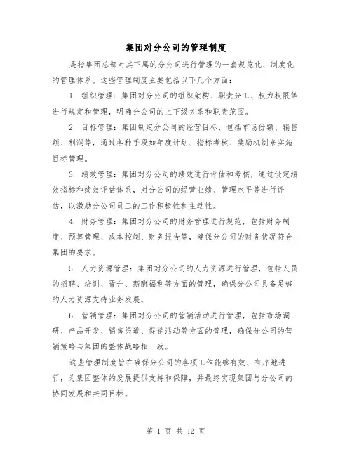 集团对分公司的管理制度(三篇)