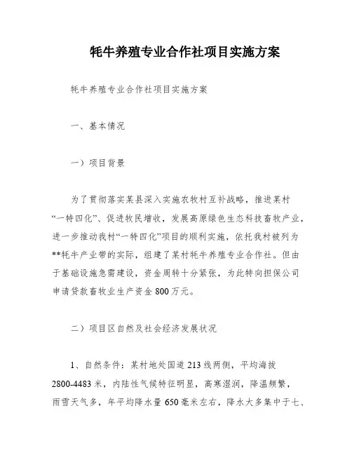 牦牛养殖专业合作社项目实施方案