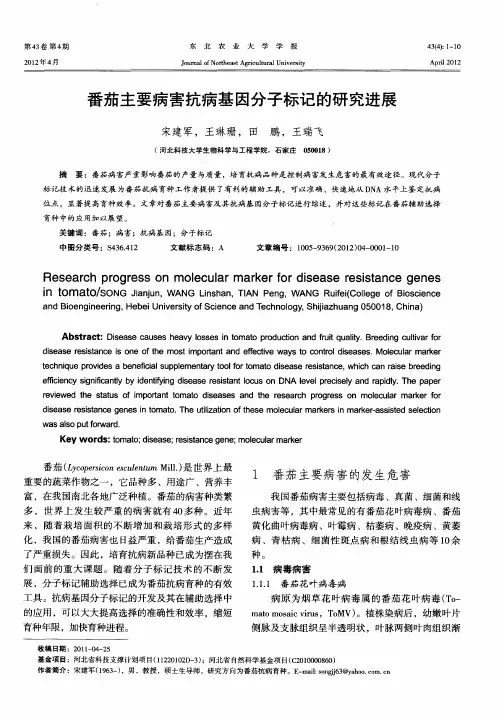 番茄主要病害抗病基因分子标记的研究进展