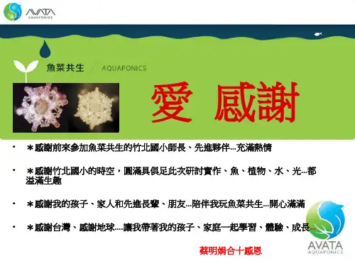 鱼菜共生系统