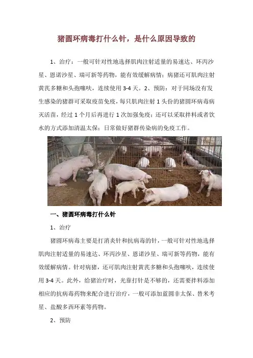 猪圆环病毒打什么针,是什么原因导致的