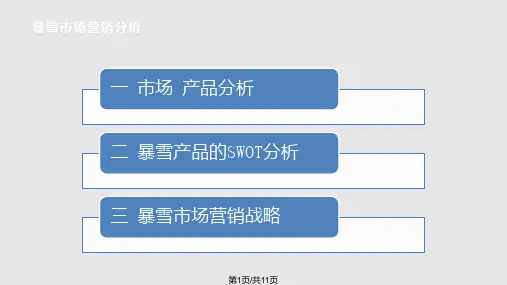 暴雪娱乐市场营销分析PPT课件
