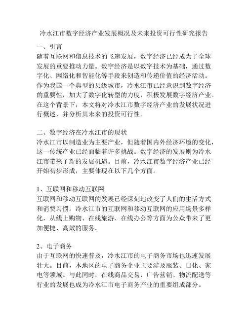 冷水江市数字经济产业发展概况及未来投资可行性研究报告