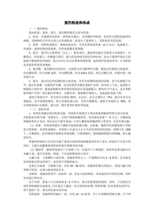 蛋的构造和形成