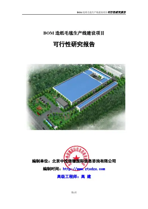 BOM造纸毛毯生产线建设项目可行性研究报告