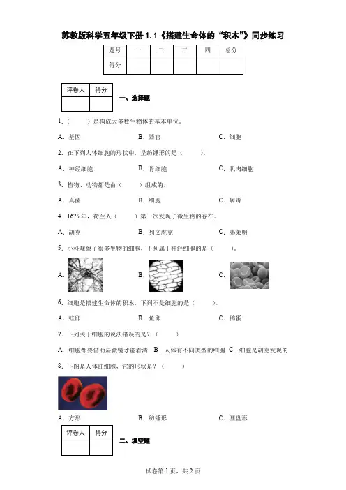 苏教版科学五年级下册1.1《搭建生命体的“积木”》同步练习