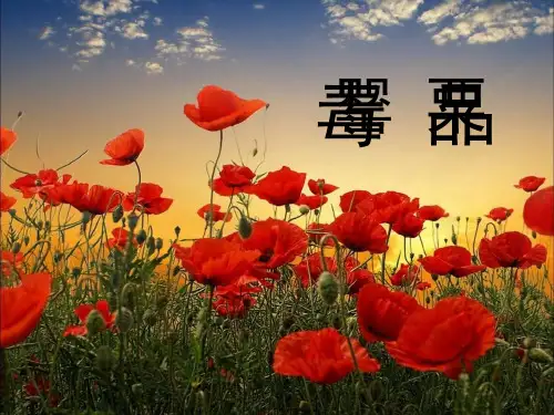 岳麓版高一历史必修一课件：12 鸦片战争(共42张PPT)