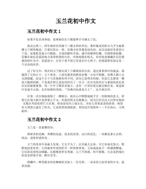 玉兰花初中作文