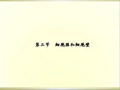 高中生物 2.2 细胞膜和细胞壁课件 浙科版必修1