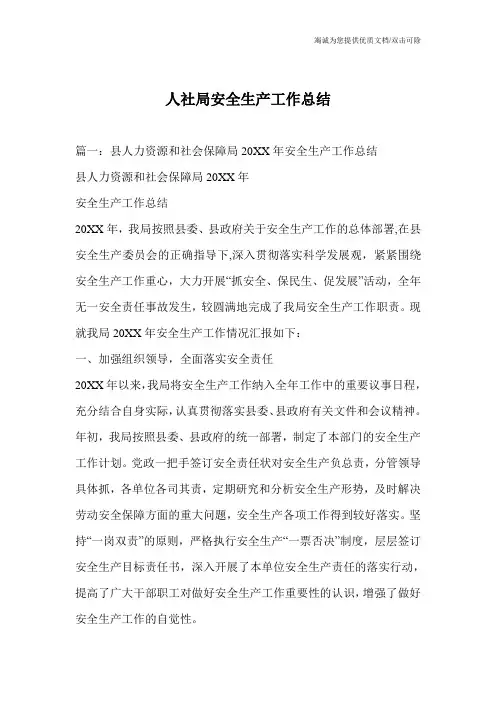人社局安全生产工作总结