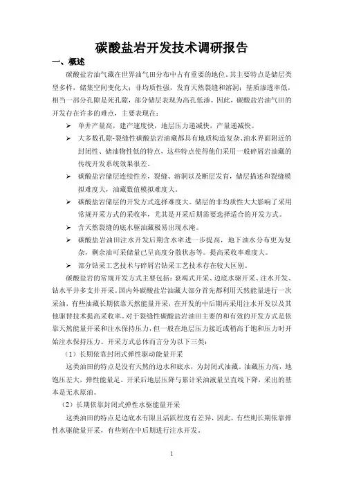 碳酸盐岩开发技术调研报告