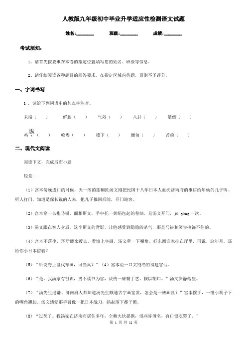 人教版九年级初中毕业升学适应性检测语文试题