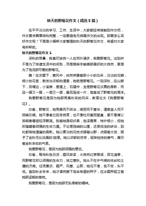 秋天的野菊花作文（精选5篇）
