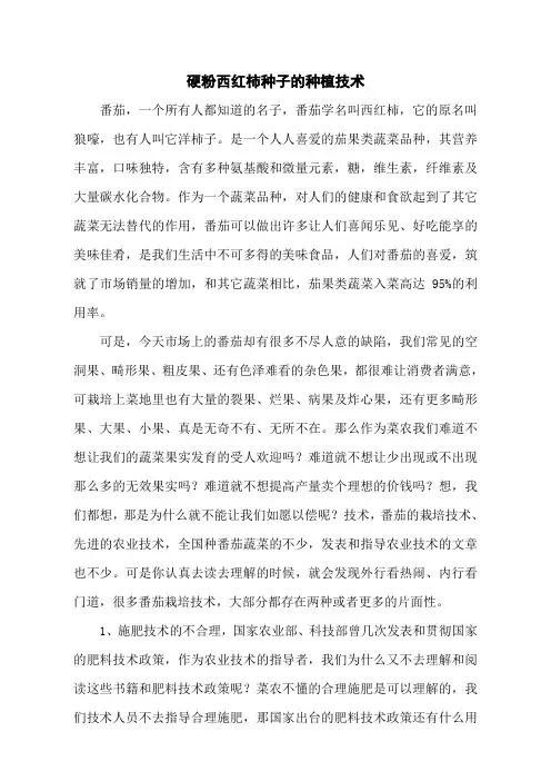 硬粉西红柿种子的种植技术