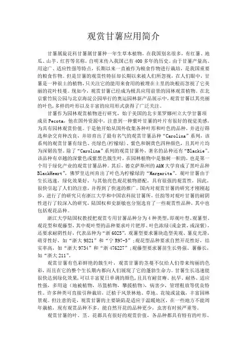 观赏甘薯应用简介