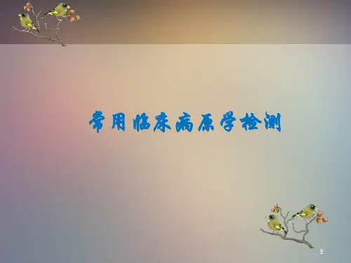 常用临床病原学检测