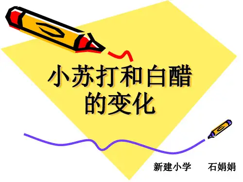 小苏打和白醋的变化