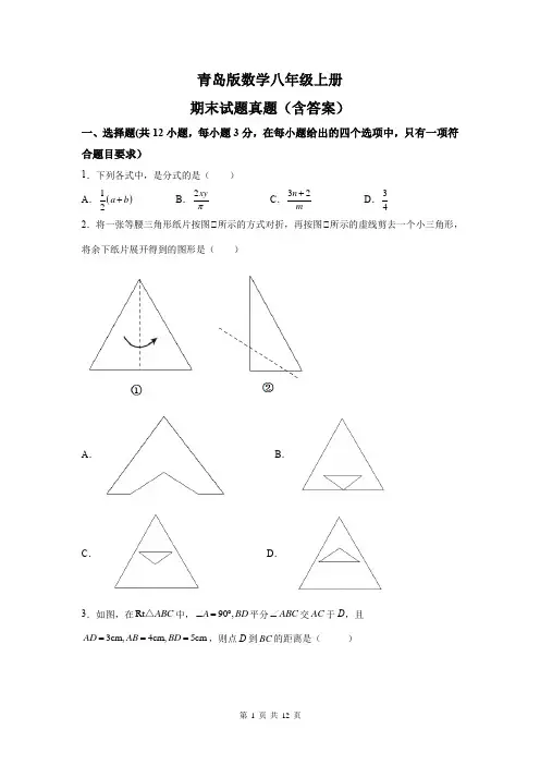 青岛版数学八年级上册期末试题(含答案)