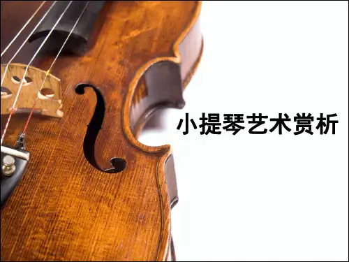 小提琴艺术赏析
