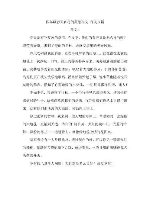 春天乡村的美景作文300字四年级