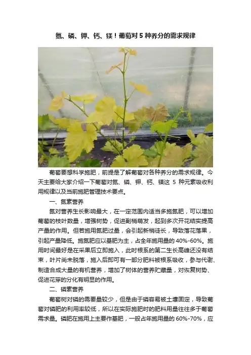 氮、磷、钾、钙、镁！葡萄对5种养分的需求规律
