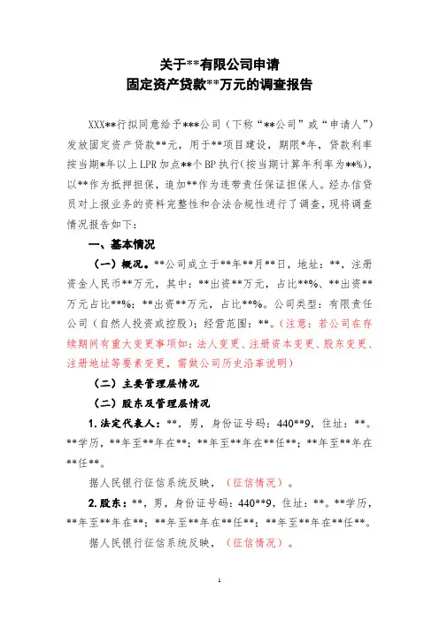 (模板)调查报告-固贷