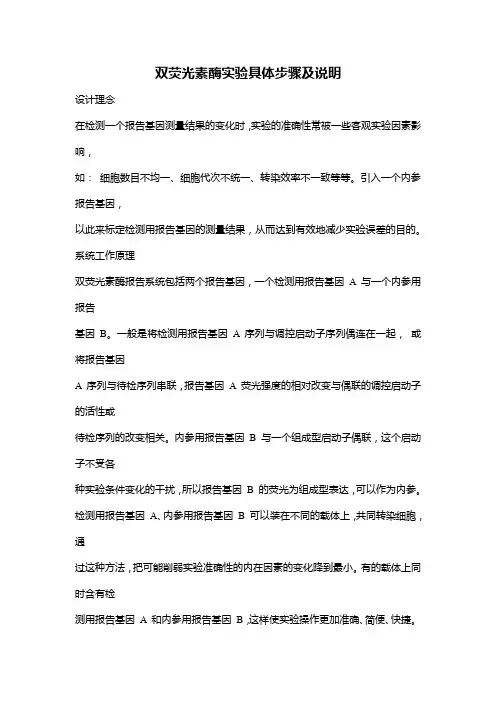 荧光素酶实验具体步骤及说明