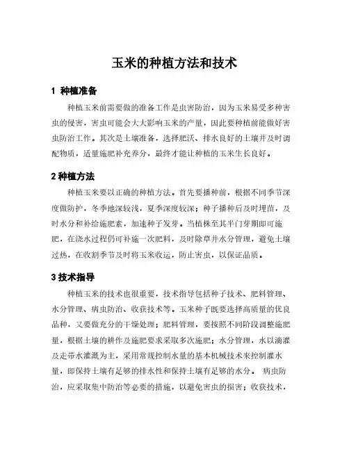 玉米的种植方法和技术