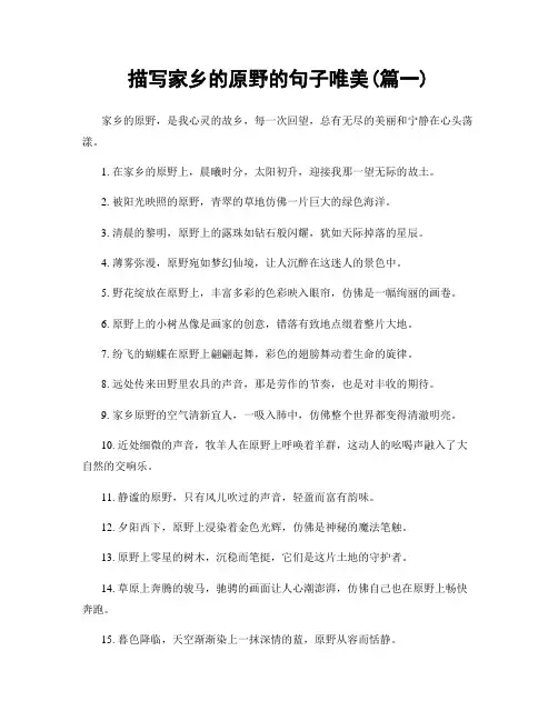 描写家乡的原野的句子唯美(精选2篇)