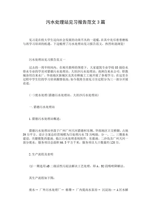 污水处理站见习报告范文3篇