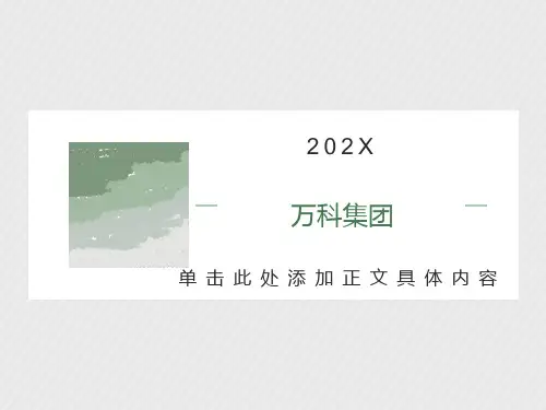 万科集团财务报表分析