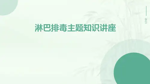淋巴排毒主题知识讲座