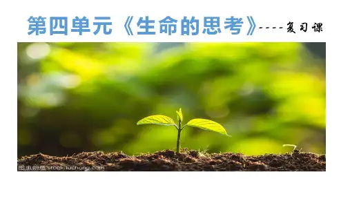 第四单元生命的思考复习课件-部编版道德与法治七年级上册