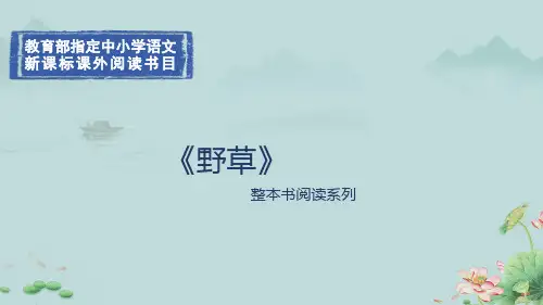 整本书阅读系列鲁迅《野草》课件(共30张PPT)