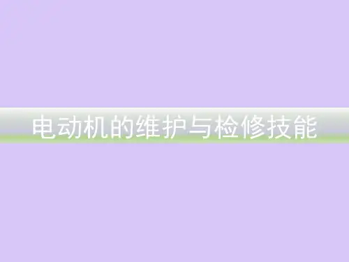 电动机的维护与检修技能培训PPT课件