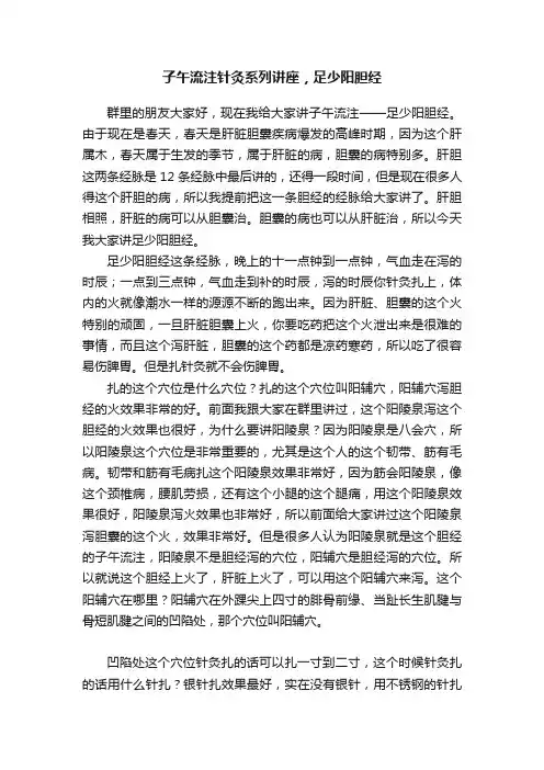 子午流注针灸系列讲座，足少阳胆经