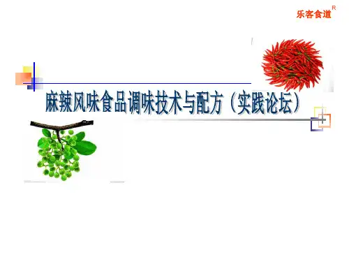 麻辣风味食品调味技术与配方(实践论坛)