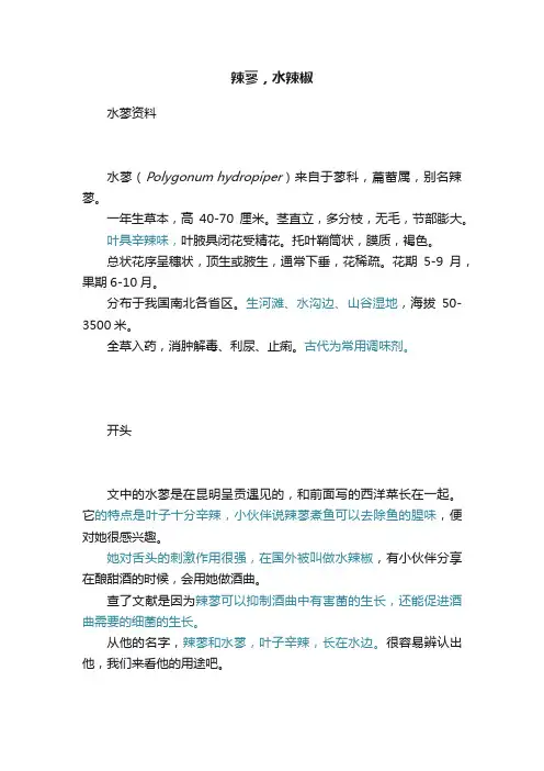 辣蓼，水辣椒