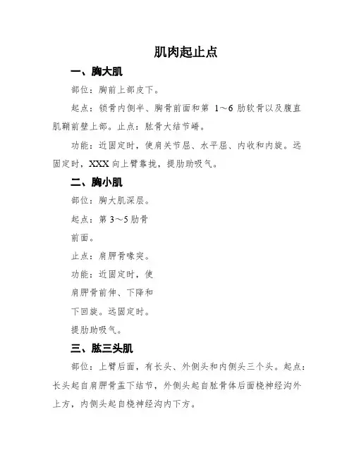 肌肉起止点