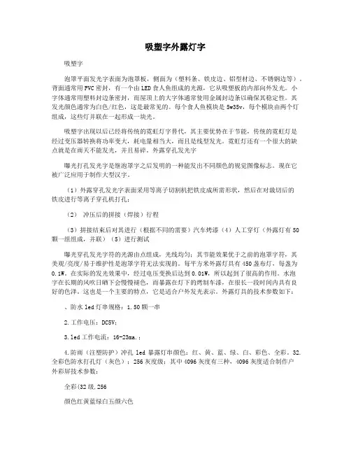 吸塑字外露灯字