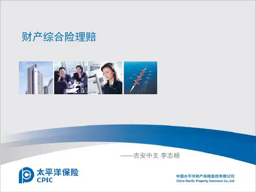 财产综合险案例分析(定稿)