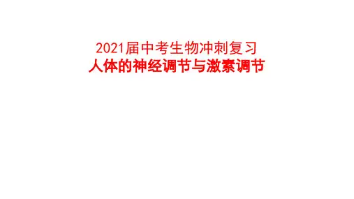2021届中考生物冲刺复习-人体的神经调节与激素调节