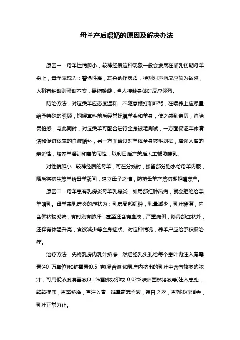 母羊产后喂奶的原因及解决办法