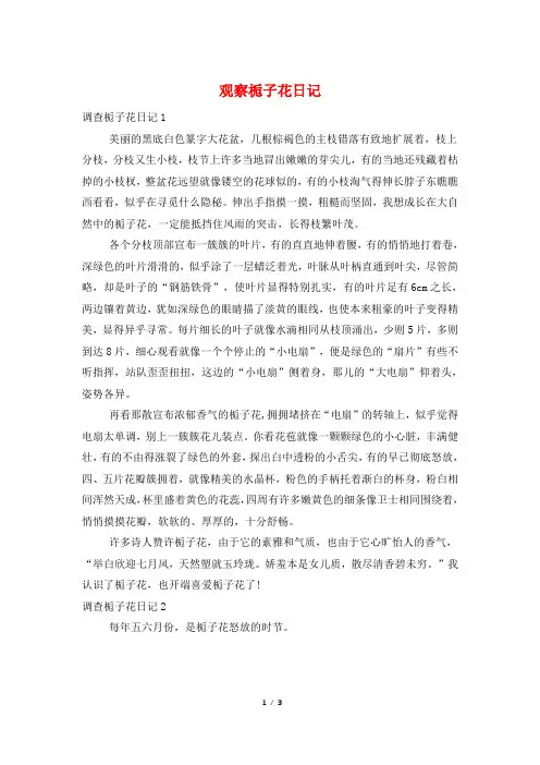 观察栀子花日记
