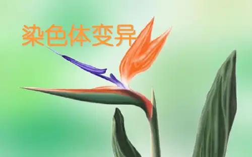 必修2 第5章 第2节
