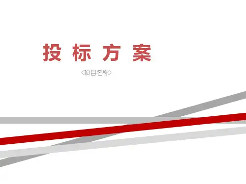 投标方案PPT模板.ppt.ppt