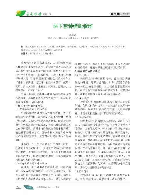 林下套种续断栽培